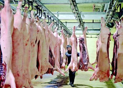 增加市场投放 保障猪肉供应