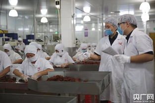 潮味熟肉制品香飘港澳 汕头海关保障供港澳熟肉制品质量安全